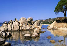 越早知道越好（vue輪播圖組件）vue中輪播圖，這是我見(jiàn)過(guò)最優(yōu)雅的Vue圖片輪播插件——Vue-Awesome-Swiper，指數(shù)分布公式，